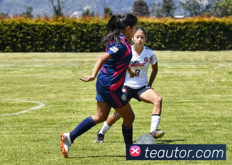 奖项图1